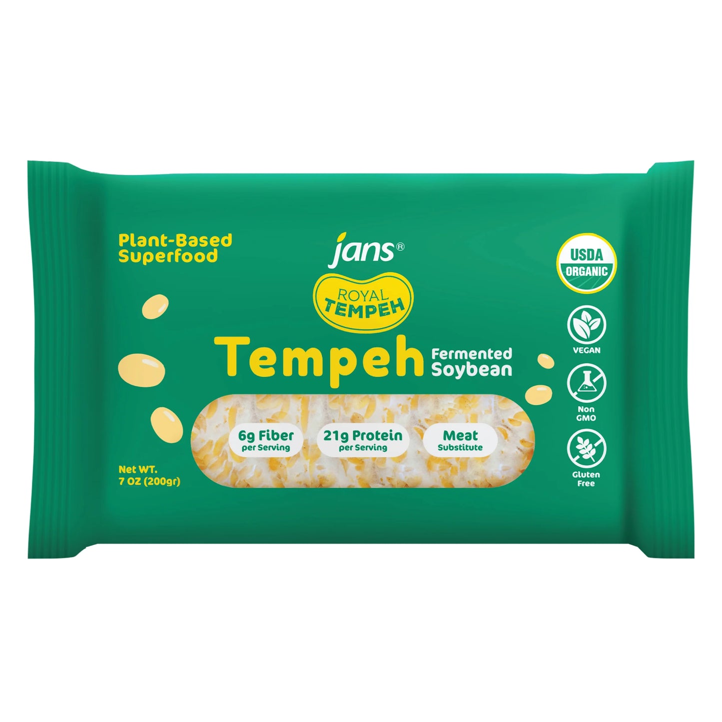 Frozen Tempeh Block