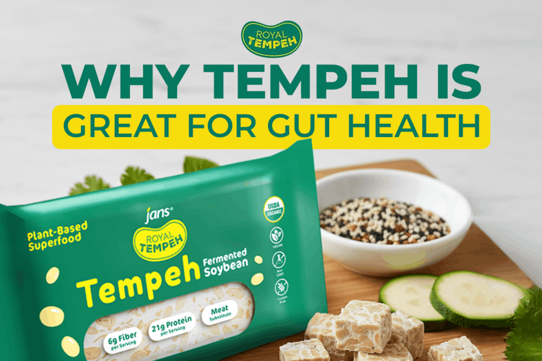 Discover Royal Tempeh Gut Health Benefits for a Happy Gut