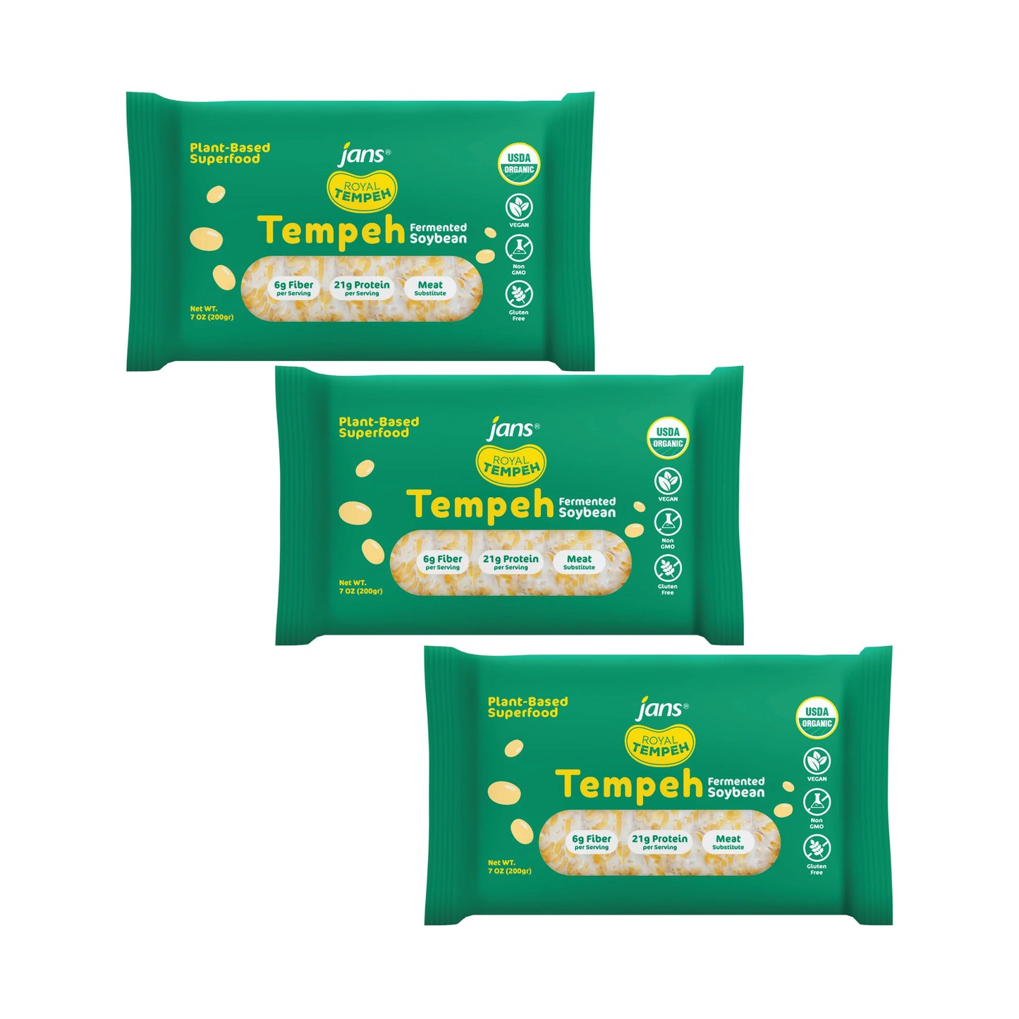 Frozen Tempeh Block