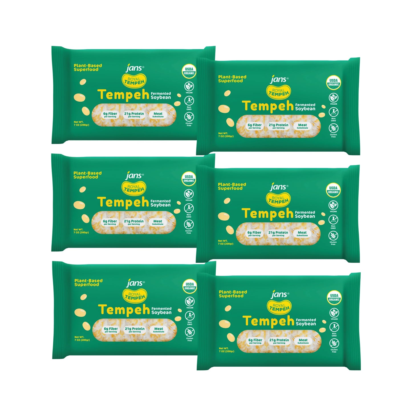 Frozen Tempeh Block
