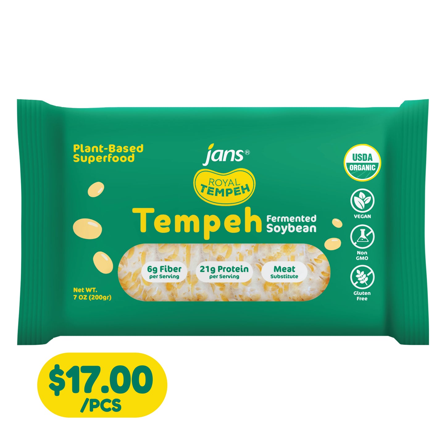 Frozen Tempeh Block
