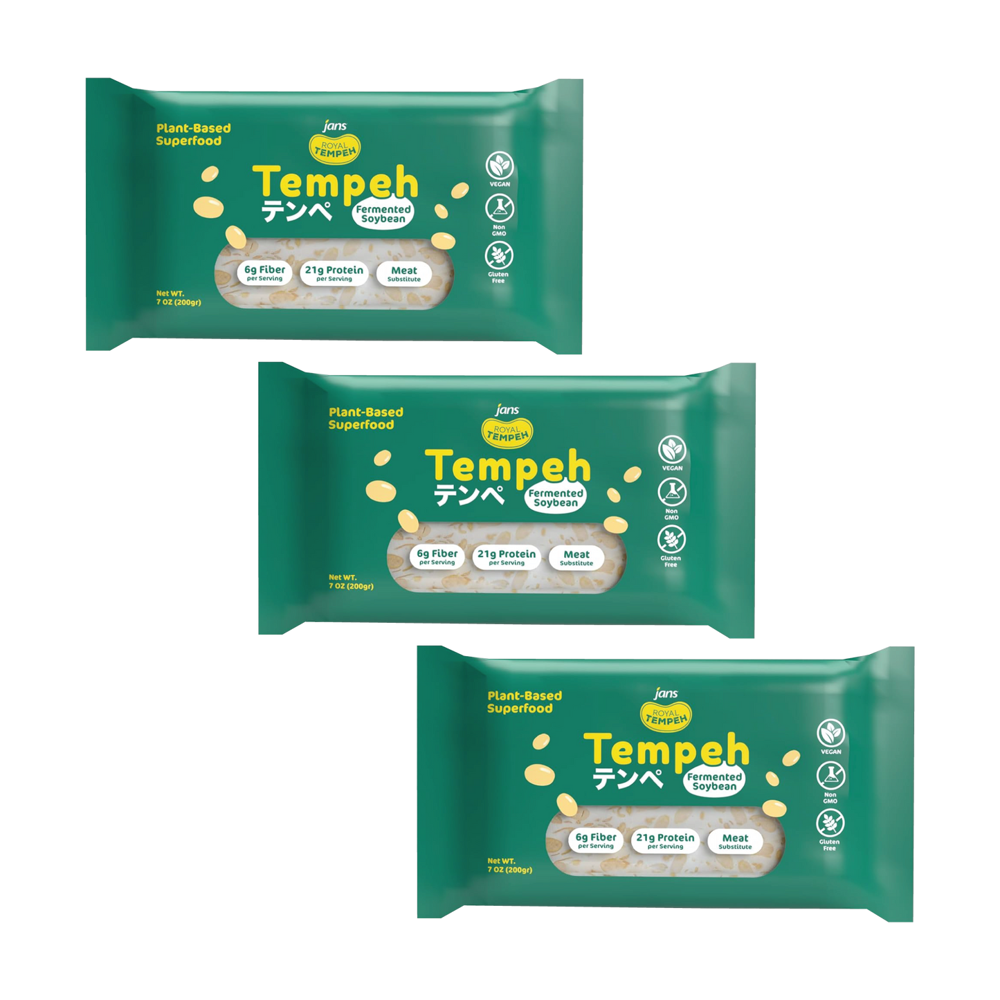 Frozen Tempeh Block